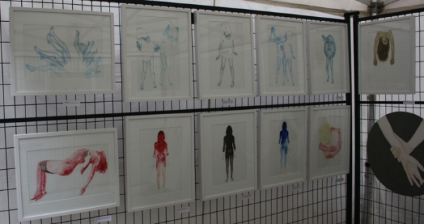 TOAE Display